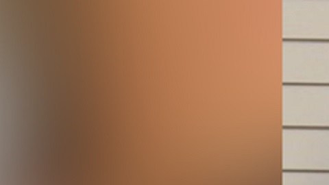 Una investigación también reveló que la familia no estaba en la propiedad de Cook cuando comenzó a disparar.