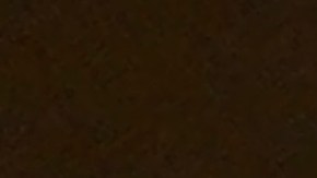 Estas son las opciones más fáciles para descargar tus videos de TikTok y así poder preservarlos