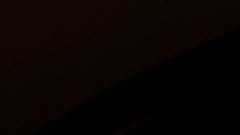 TikTok ha cerrado sus operaciones en Estados Unidos tras aprobación de una nueva ley.
