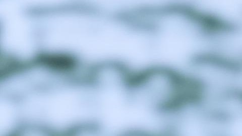 Tim Scott, senador republicano por Carolina del Sur