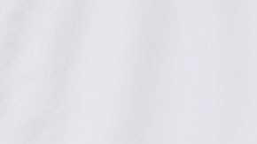 Tim Homan, zar fronterizo nombrado por Donald Trump