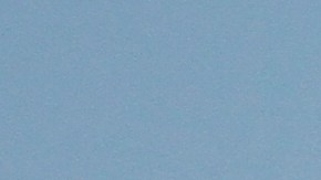 El cuarteto ha sido acusado de allanamiento ilegal a nivel estatal.