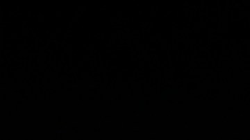 Las cuentas de Facebook e Instagram del presidente Donald Trump había sido desactivadas luego del ataque al Capitolio del 6 de enero