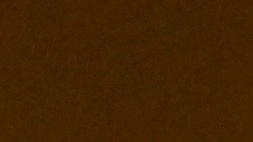 La llegada de Gabbard, según analistas, podría politizar la Inteligencia Nacional durante el gobierno de Trump.