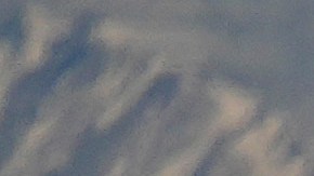 Avión de United choca con coyote durante el despegue en un aeropuerto de Chicago