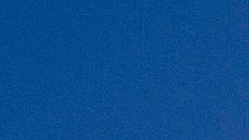 Tall palm trees sway in the wind early on Wednesday, Nov. 16, 2022, in the San Fernando Valley section of Los Angeles. Powerful Santa Ana winds are lashing Southern California, toppling big rigs on highways and spreading a fire that destroyed two structures. (AP Photo/Richard Vogel)