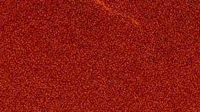 The Palisades Fire ravages a neighborhood amid high winds in the Pacific Palisades neighborhood of Los Angeles, Tuesday, Jan. 7, 2025. (AP Photo/Ethan Swope)