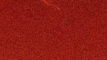 The Palisades Fire ravages a neighborhood amid high winds in the Pacific Palisades neighborhood of Los Angeles, Tuesday, Jan. 7, 2025. (AP Photo/Ethan Swope)