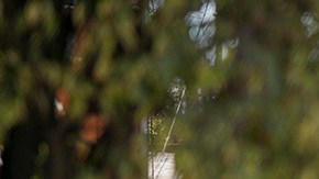 Violencia en México