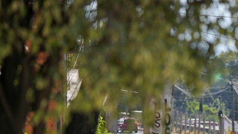 Violencia en México