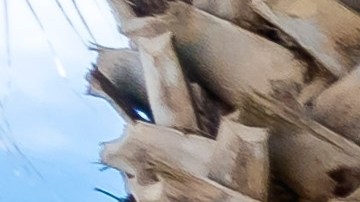 Walmart oferta un cofre de herramientas de $540 por $158