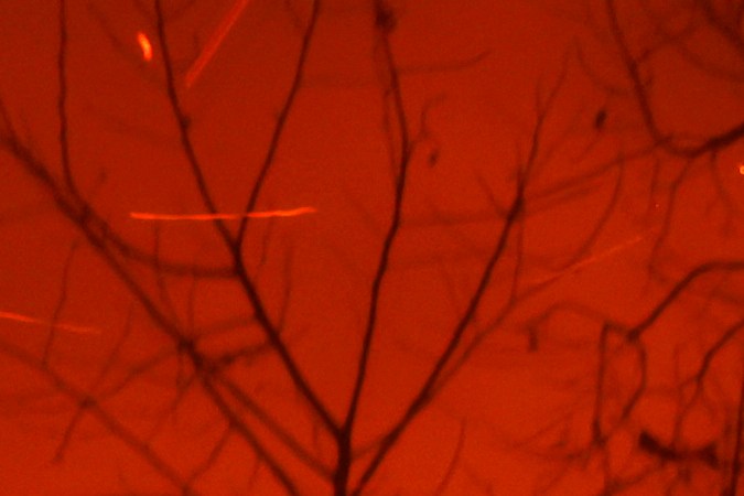 Incendios forestales en Los Ángeles.