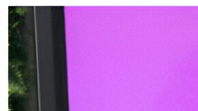 Aleska Génesis y Clovis Nienow ponen fin a su relación: esto es lo que se sabe