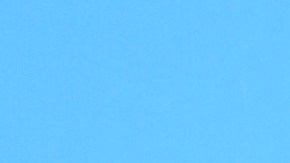 Christian Estrada y Alicia Machado