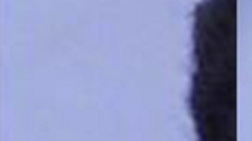 Spalding afirmó que Webster intentó violarla, pero las autoridades dijeron que no había pruebas en la escena