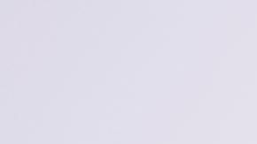 La presidenta de México, Claudia Sheinbaum, esperará a la decisión de Trump sobre aranceles.