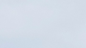 Las banderas en la residencia de Trump en Mar-a-Lago vuelven a ondear a plena altura.