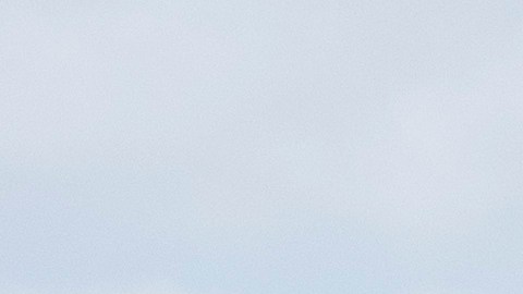 Las banderas en la residencia de Trump en Mar-a-Lago vuelven a ondear a plena altura.