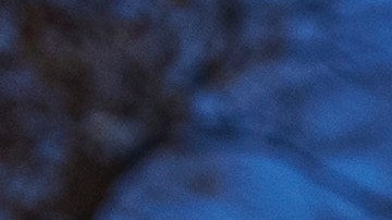 Partidarios de los derechos de las personas transgénero protestan en Washington D.C. el 4 de diciembre de 2024.