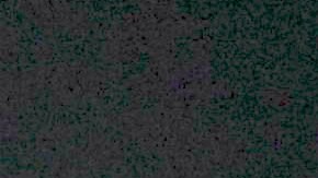 Diego Boneta Renata Notni