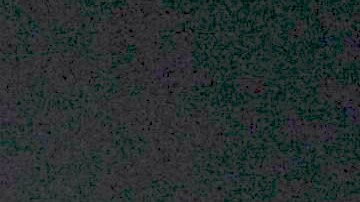 Diego Boneta Renata Notni