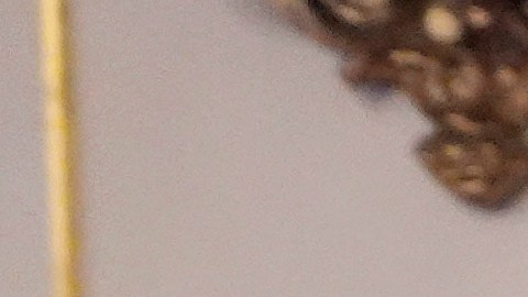 Trump jura como presidente frente al Capitolio justo al mediodía (hora local), con un presupuesto récord y una lista de asistentes cuidadosamente seleccionada.