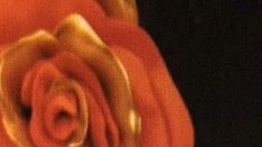 Dulce y Jorge Flores