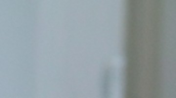 La idea de que los perros y gatos no se llevan bien podría quedar atrás.