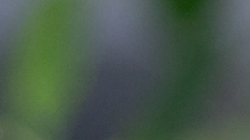 El lugar que eliges para instalar el humidificador en casa es vital para obtener los beneficios.