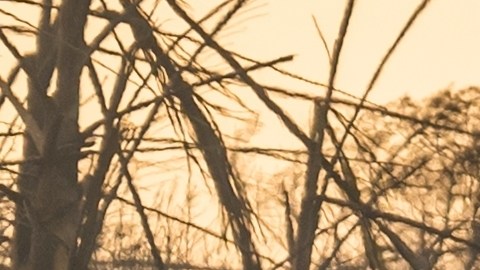 Incendios