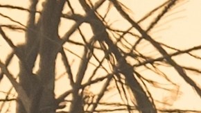 Incendios California