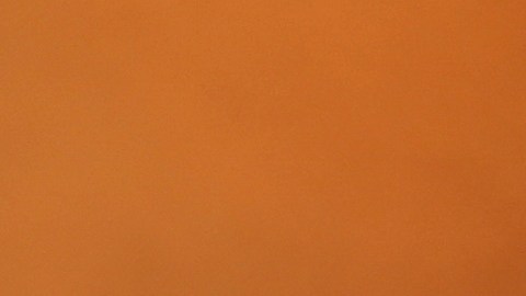 Cuadrillas y equipos han llegado de todo Estados Unidos, así como de Canadá y México, incluidos camiones de agua y aviones que arrojan productos químicos para combatir incendios.