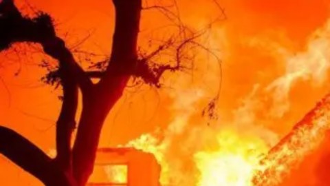 Grandes casas en Palisades han quedado consumidas por el fuego.