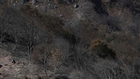 Incendios en California