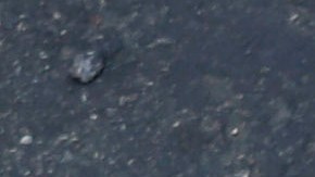 Elementa señala que deportaciones masivas podrían generar un crecimiento de la población en situación de calle