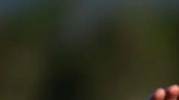 Joe Biden pone fin a una carrera política de medio siglo.