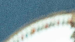 Harris cierra su etapa en la Casa Blanca con gira por Singapur, Bahréin y Alemania