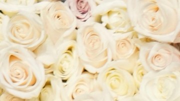 Karla Sofía Gascón