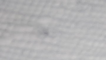 La astrología de estos signos indica que el karma les ha llegado.