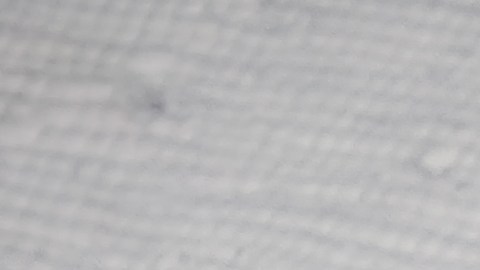 La astrología de estos signos indica que el karma les ha llegado.