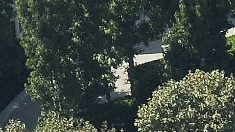 Holmby Hills