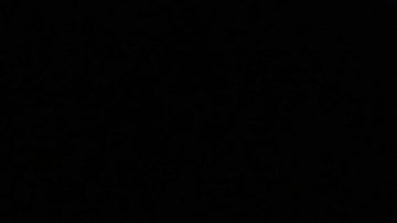 La 97° edición de los premios de la Academia se celebrará el 2 de marzo en el Dolby Theatre de Hollywood, en Los Ángeles.