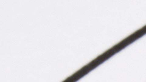 Algunos signos sienten más que una atracción entre sí.