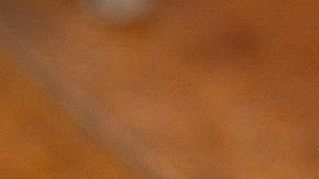 Según explican los chefs, la "magia" del risotto está en comerlo al instante, algo que probablemente no ocurra en un restaurante.