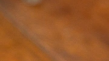 Según explican los chefs, la "magia" del risotto está en comerlo al instante, algo que probablemente no ocurra en un restaurante.
