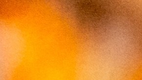 ¿Por qué los alimentos para el desayuno son cada vez más caros en 2025?