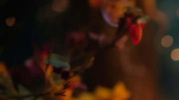 Rituales durante los ciclos de la luna.