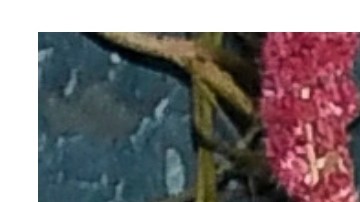 Ryan Reynolds y Justin Baldoni