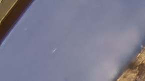 El 17 de enero se celebra a San Antonio Abad.