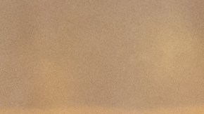 El 20 de enero se recuerda la vida de destacados santos.